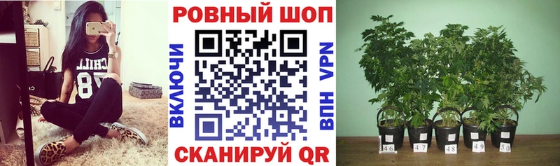 Купить наркотики Обнинск Cocaine  Псилоцибиновые грибы  Гашиш  Бошки Шишки  Мефедрон 