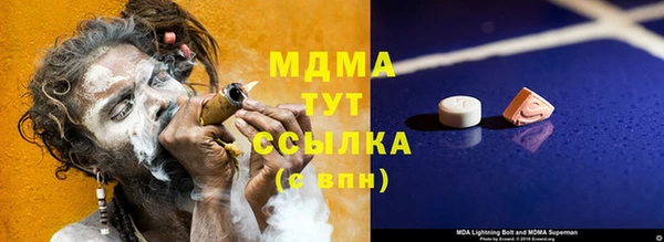 мет Алексин