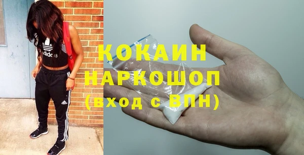 сатива Алзамай