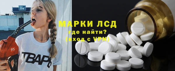 сатива Алзамай