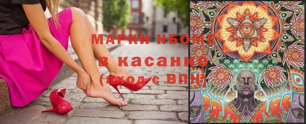 сатива Алзамай