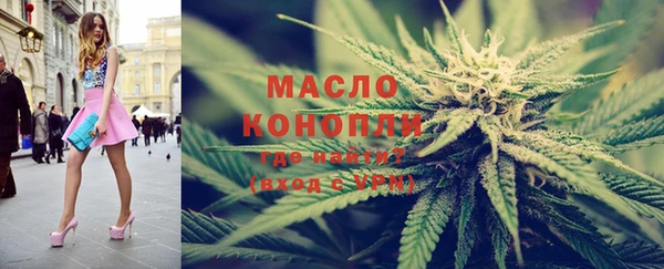 мет Алексин