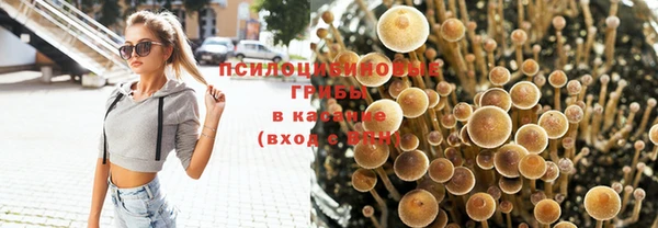 мет Алексин