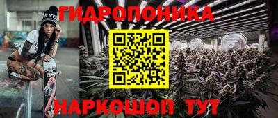 ECSTASY Заволжье