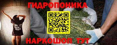 ECSTASY Заволжье