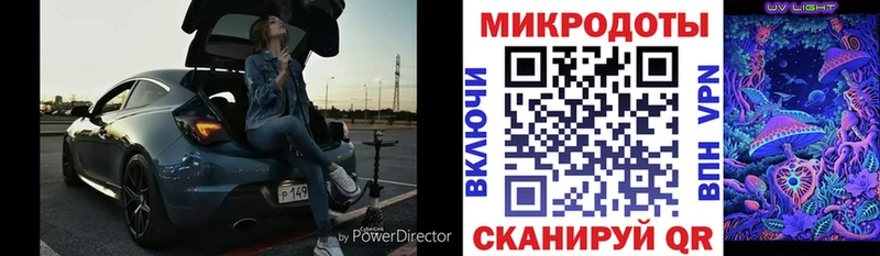 Псилоцибиновые грибы Psilocybine cubensis  Обнинск 