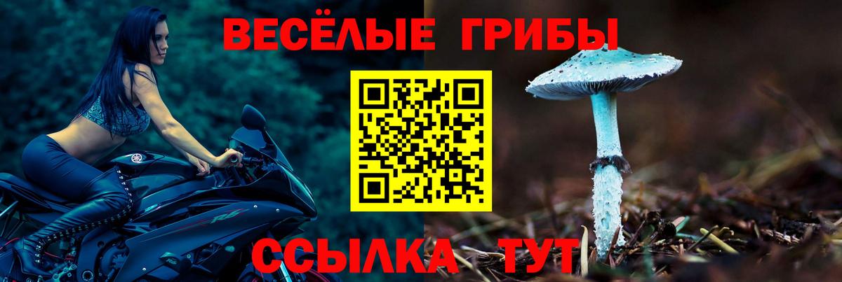 Псилоцибиновые грибы GOLDEN TEACHER  Псилоцибиновые грибы Cubensis  Обнинск  Вход с VPN 