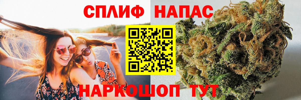 Конопля OG Kush Обнинск